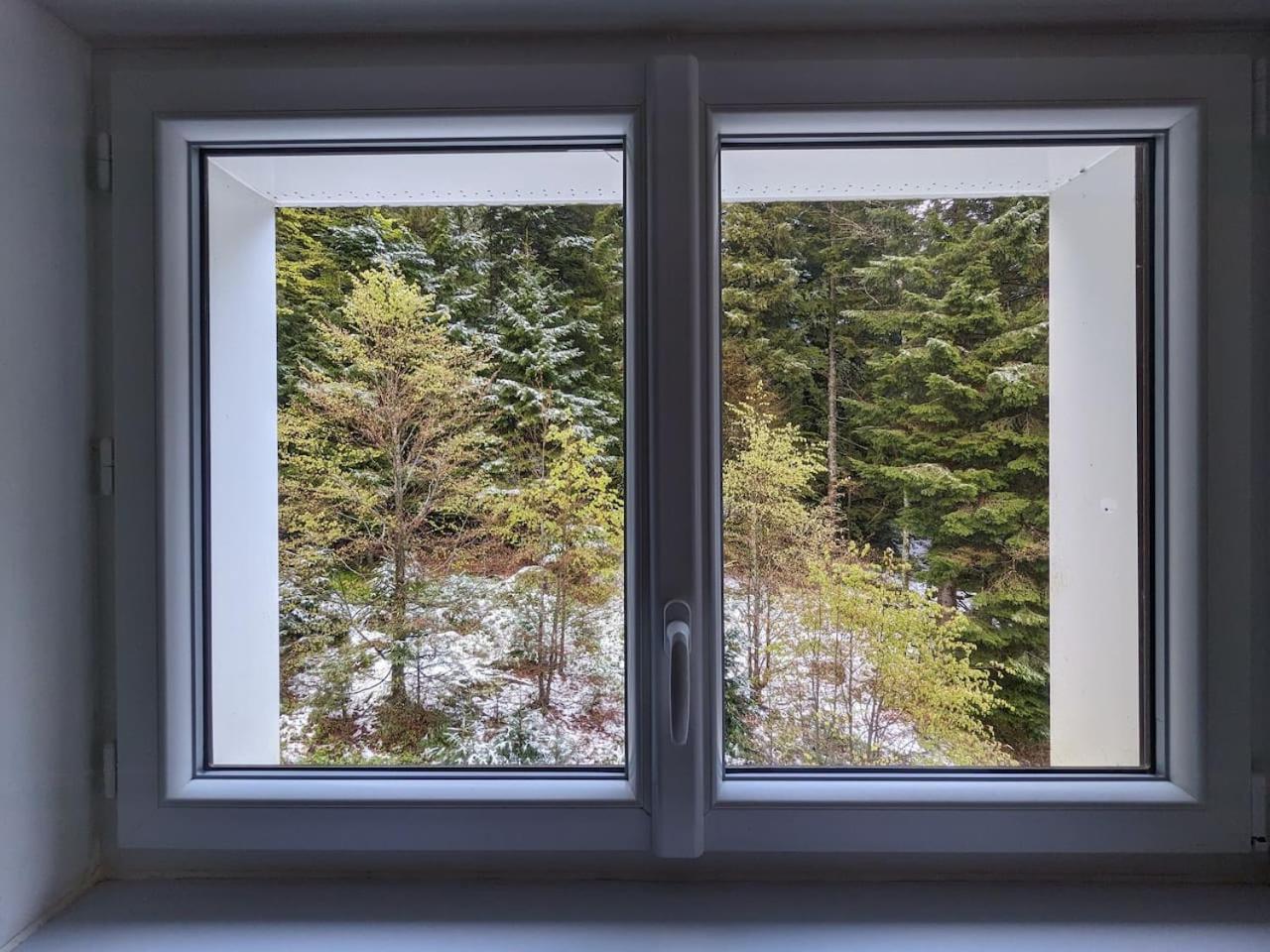 Refuge Auroisud Apartman La Bresse Kültér fotó